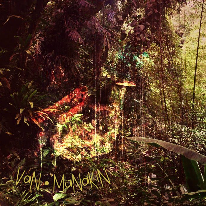 Van Manakin - 'ZiouZiou' - LP