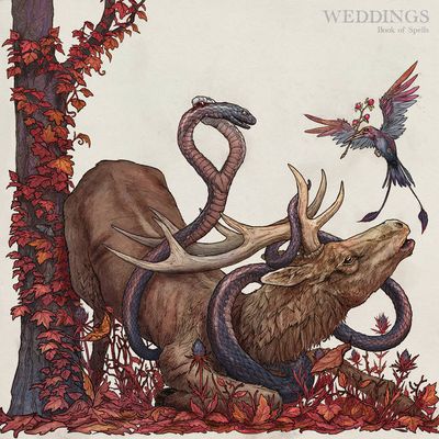 Weddings - 'Book Of Spells' - CD