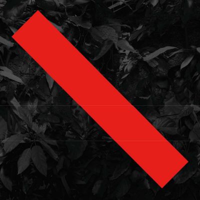 Kreisky - 'Adieu Unsterblichkeit' - LP