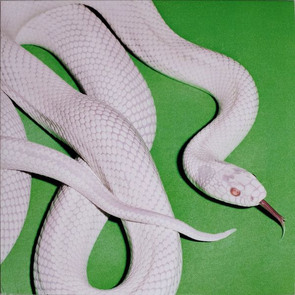 Deftones - 'Private Music' - LP