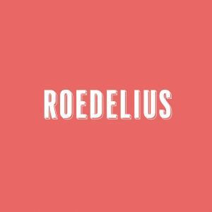 ROEDELIUS - 'DRAUF UND DRAN ' - LP ROEDELIUS - 'DRAUF UND DRAN ' - LP