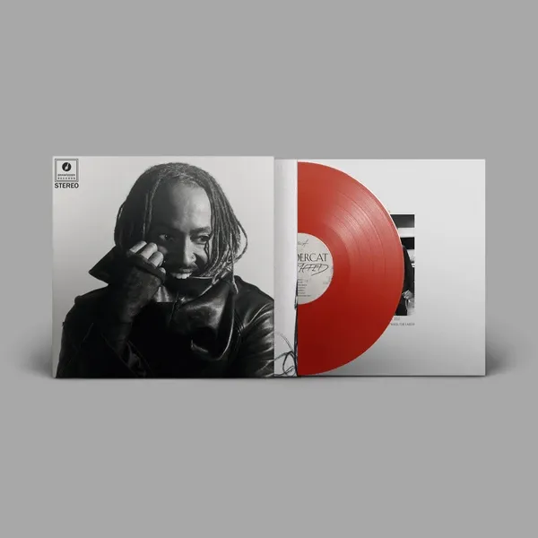 Thundercat - 'Distracted' - LP