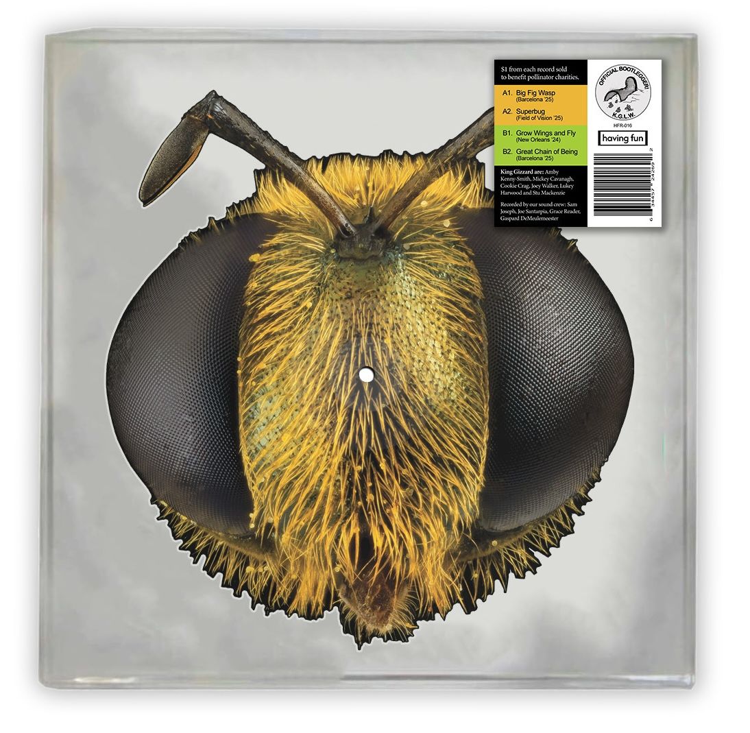 King Gizzard & The Lizard Wizard - 'Big Fig Wasp' - LP