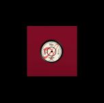 WOLF ALICE - 'Wolf Alice - Spotify Live Room' - 7 inch single