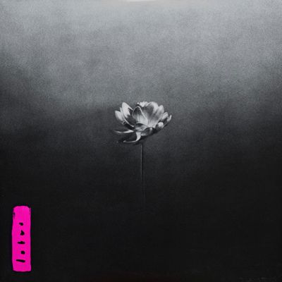 Little Simz - 'Lotus' - LP