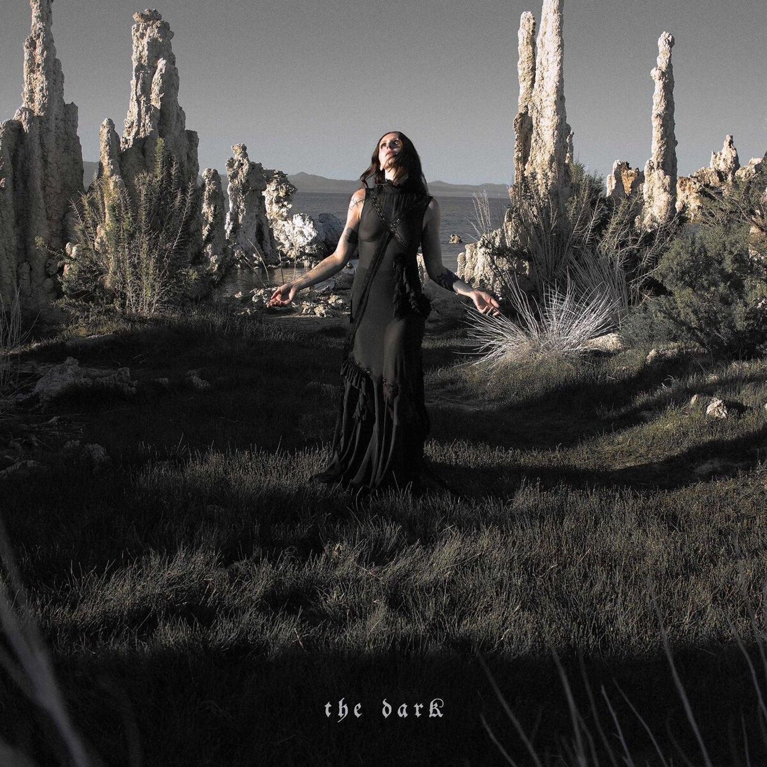 Chelsea Wolfe 'The Dark '