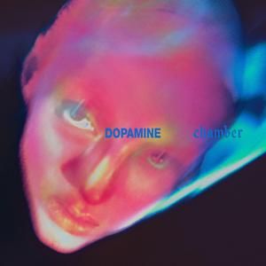 Fontaines D.C. - 'Dopamine Chamber' - CD