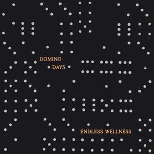 Endless Wellness - 'Domino Days' - LP Endless Wellness - 'Domino Days' - LP