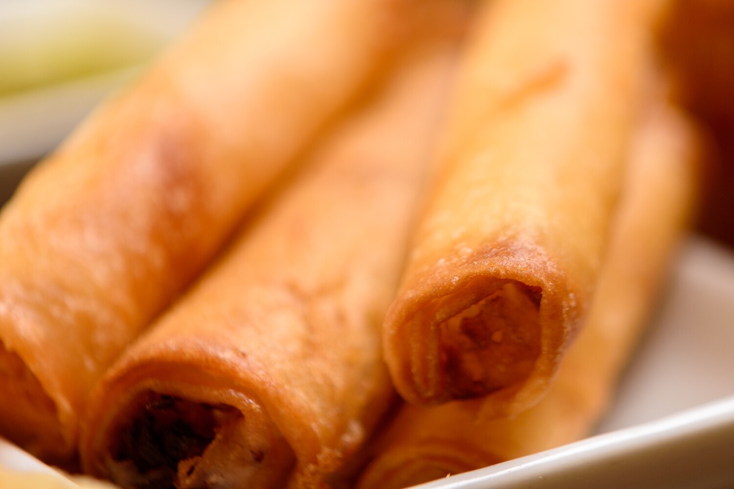 Vegetable Spring Rolls