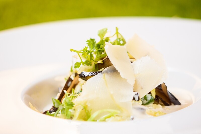 Grilled Salmon and Tiger Prawn Salad