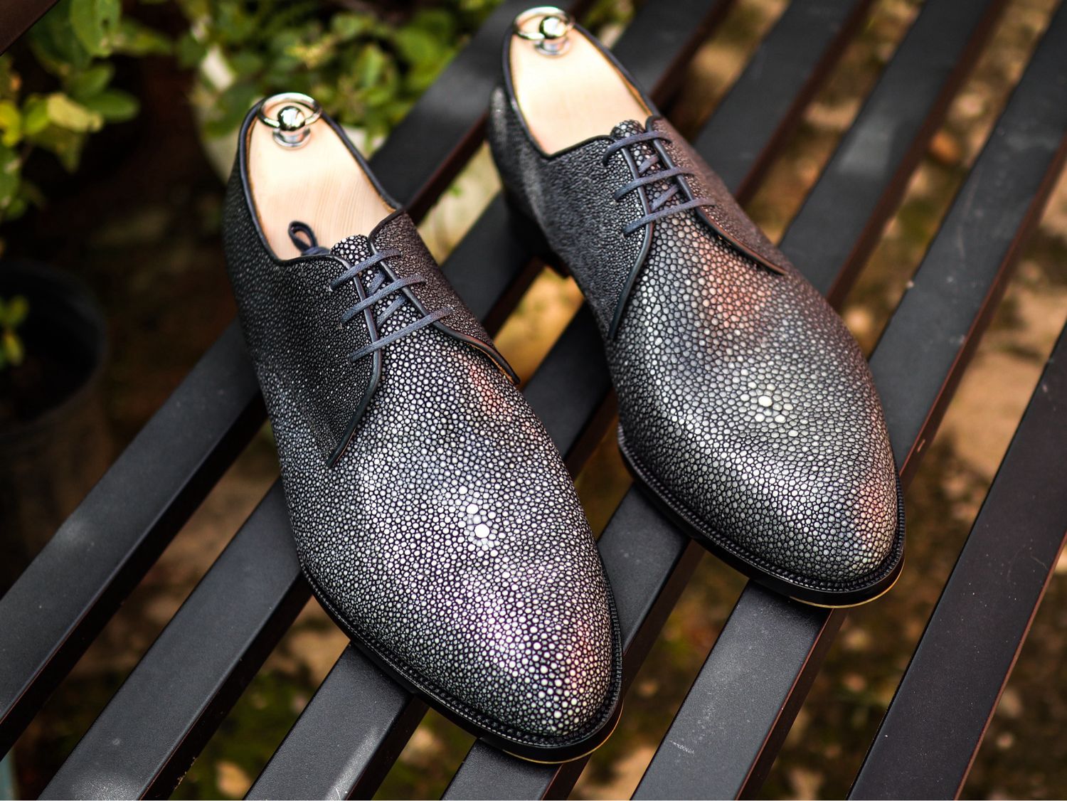 “Timothy” Plain Toe Derby