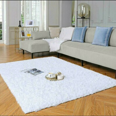 Carpets and Rugs
