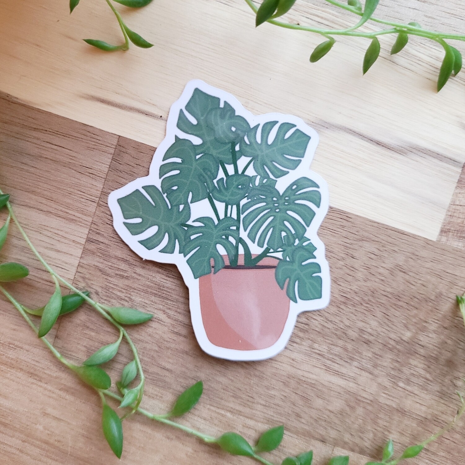  Plant Sticker