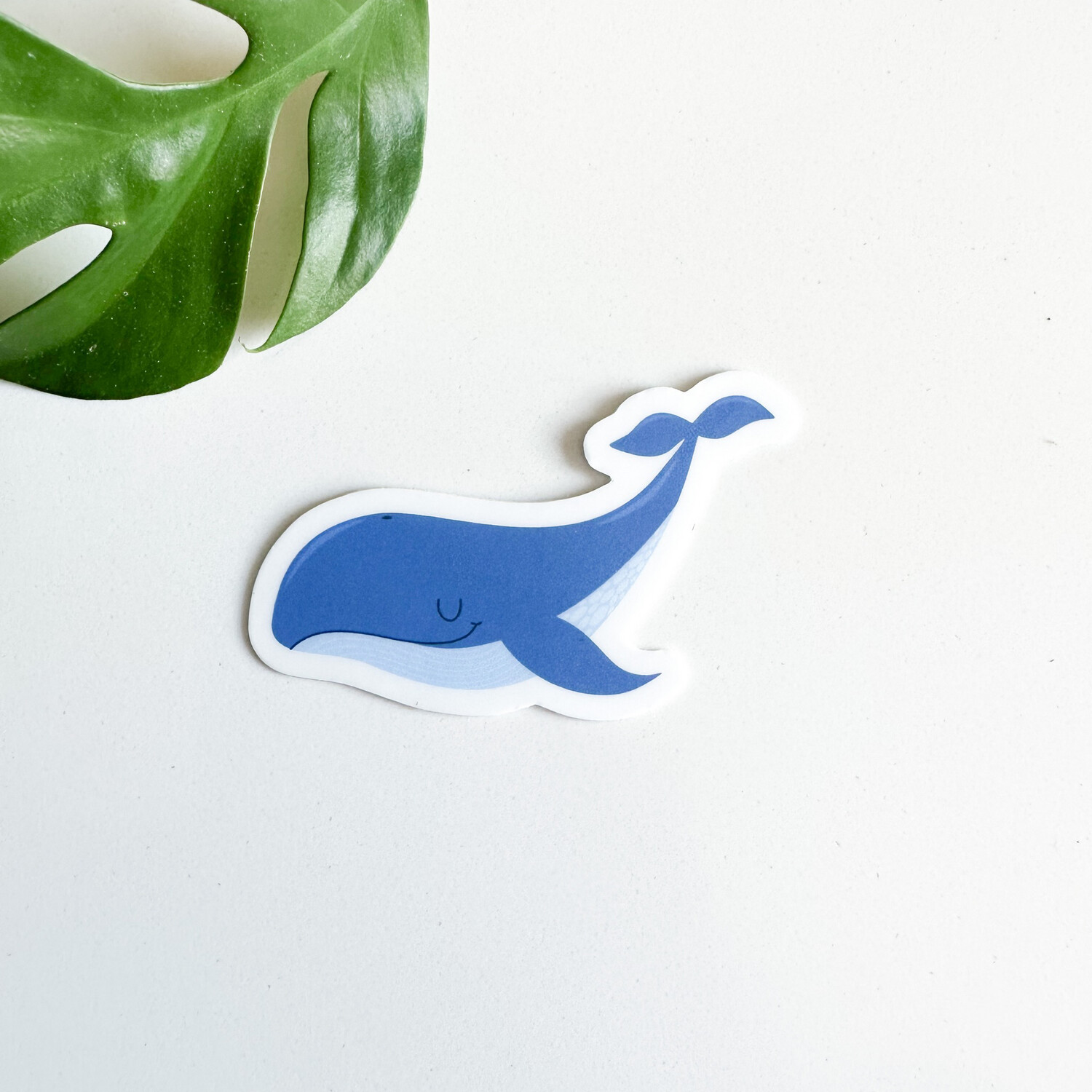 Whale | Mini Kid Sticker | Waterproof