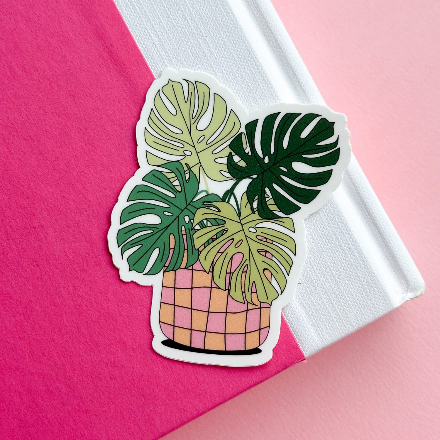 Monstera Plant | Weatherproof Sticker