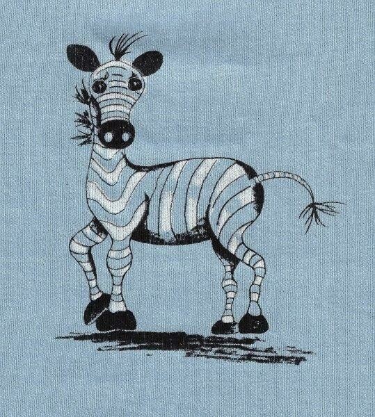 Baby Zebra
