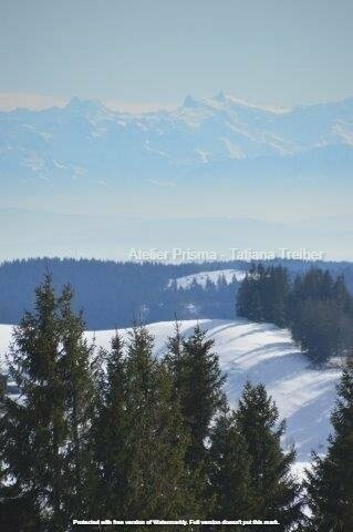 Feldberg Schneepanorama 30x45