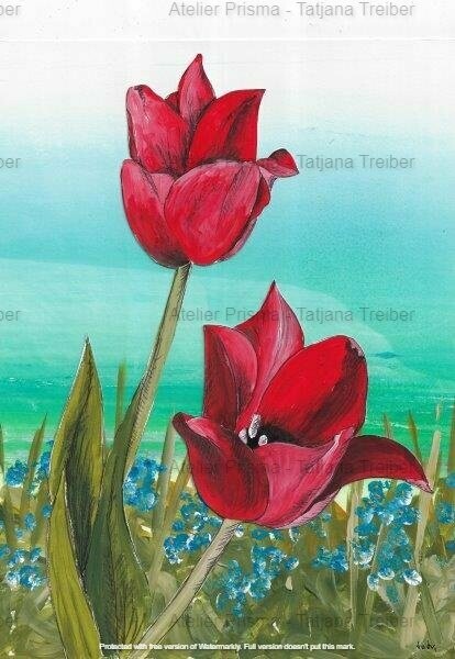 Tulpen 1