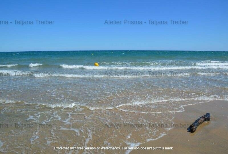 Holz am Strand 1