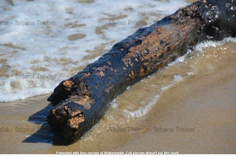 Holz am Strand 2