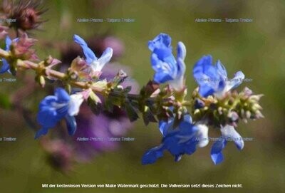 Hummelschaukel 2 Hummelschaukel 2