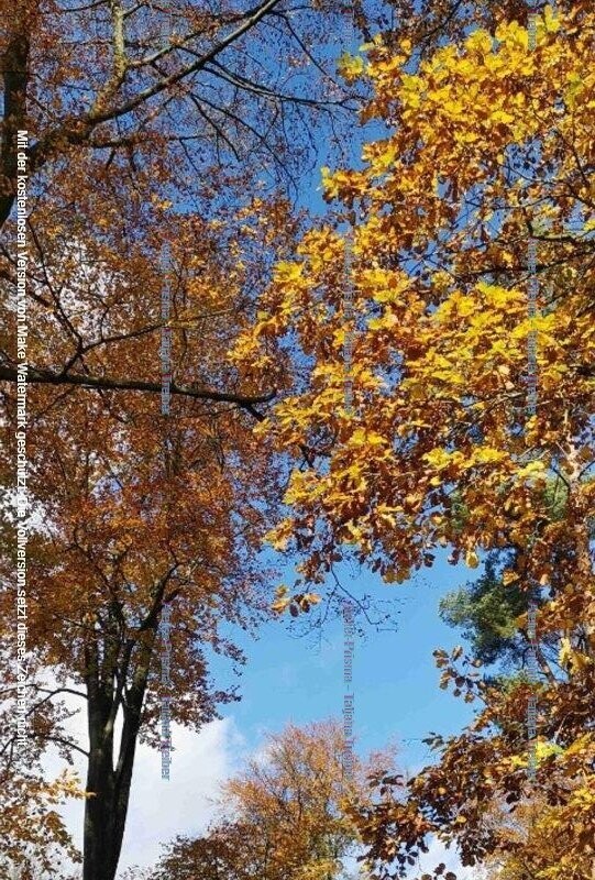 Herbstwanderung