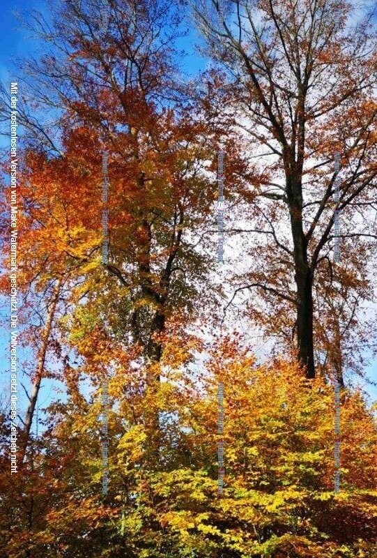 Herbstwanderung 2