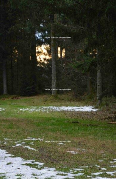 Herbstbäume 4