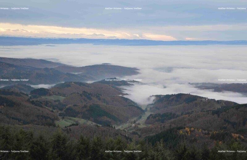 Nebel 1