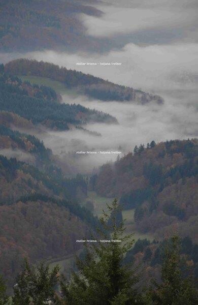 Nebel 5