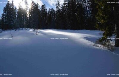 Feldberg 5 Feldberg 5