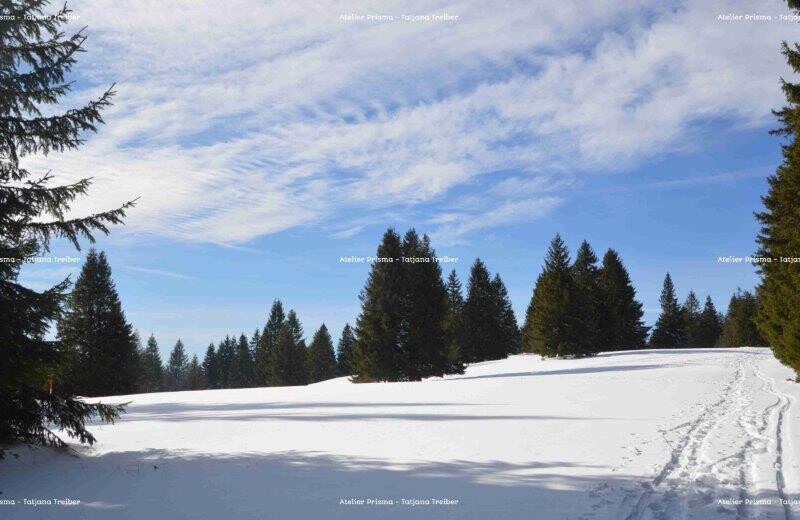 Feldberg 2