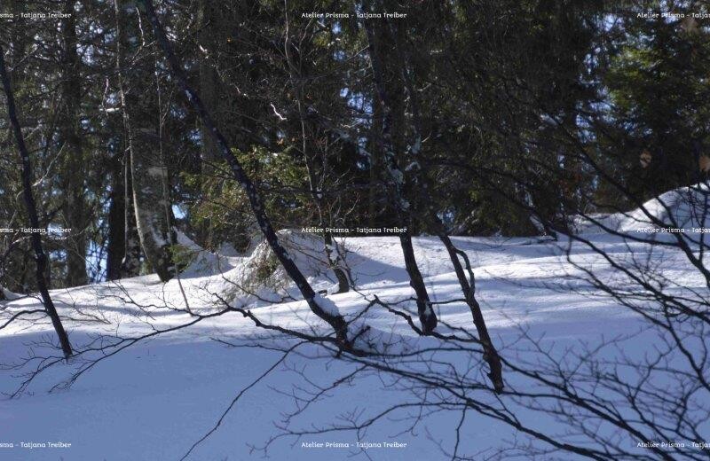 Feldberg 3