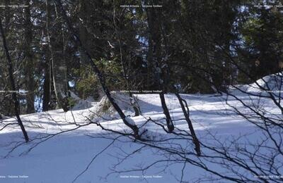 Feldberg 3 Feldberg 3