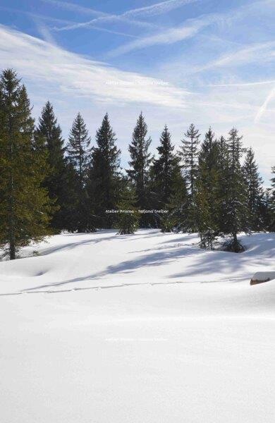 Feldberg 10