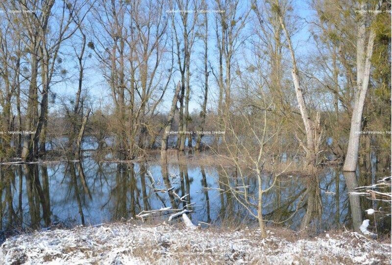 Alter Hafen 2
