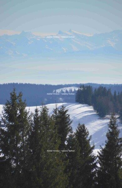 Feldberg 16