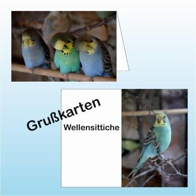 Grußkarten Wellensittiche