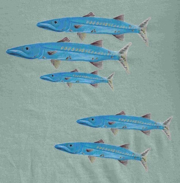 T-Shirt Barrakudas