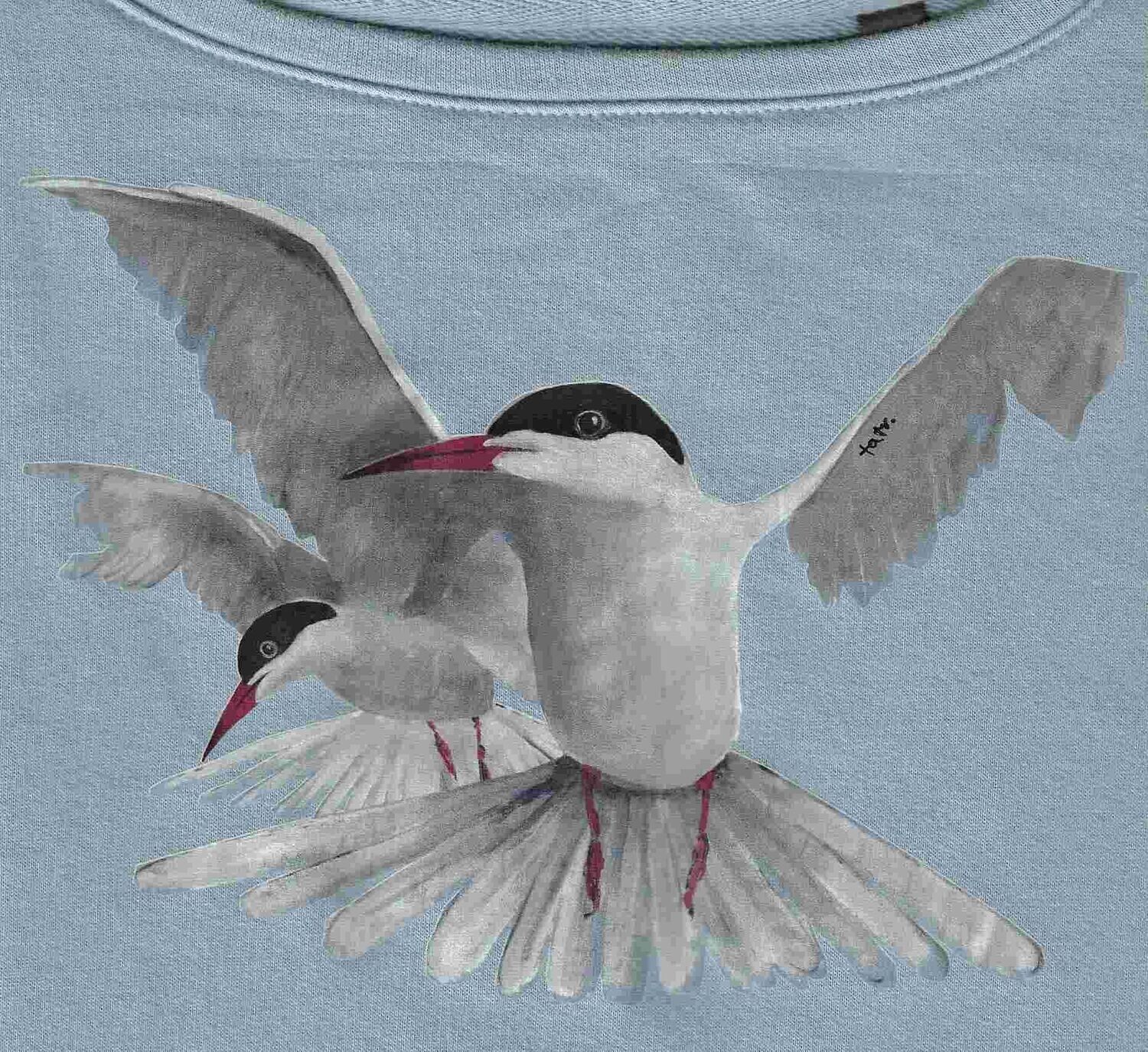 Fluss-Seeschwalben Kuschelpulli