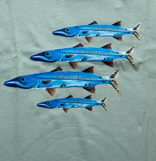 Kinder-Barracuda Kinder-Barracuda