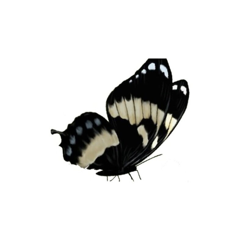 8 draailessen