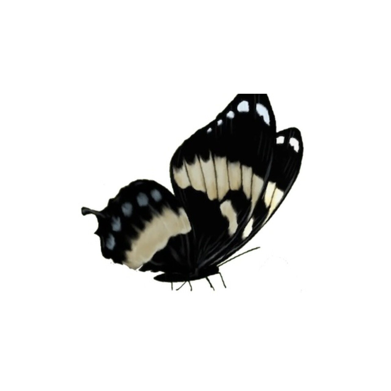 8 draailessen