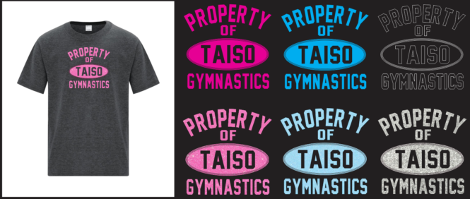 Taiso Gymnastics - Property of Taiso T-Shirt