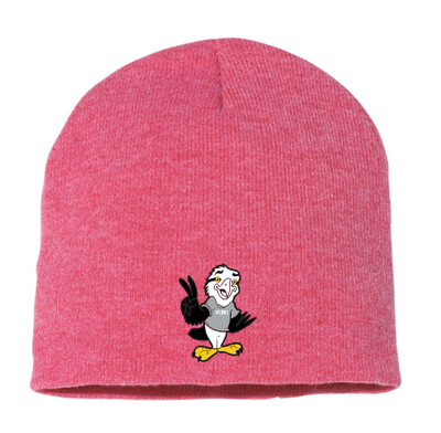 O'Connell Drive Elementary - Heather Red Eagle Beanie