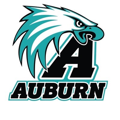 Auburn Drive High