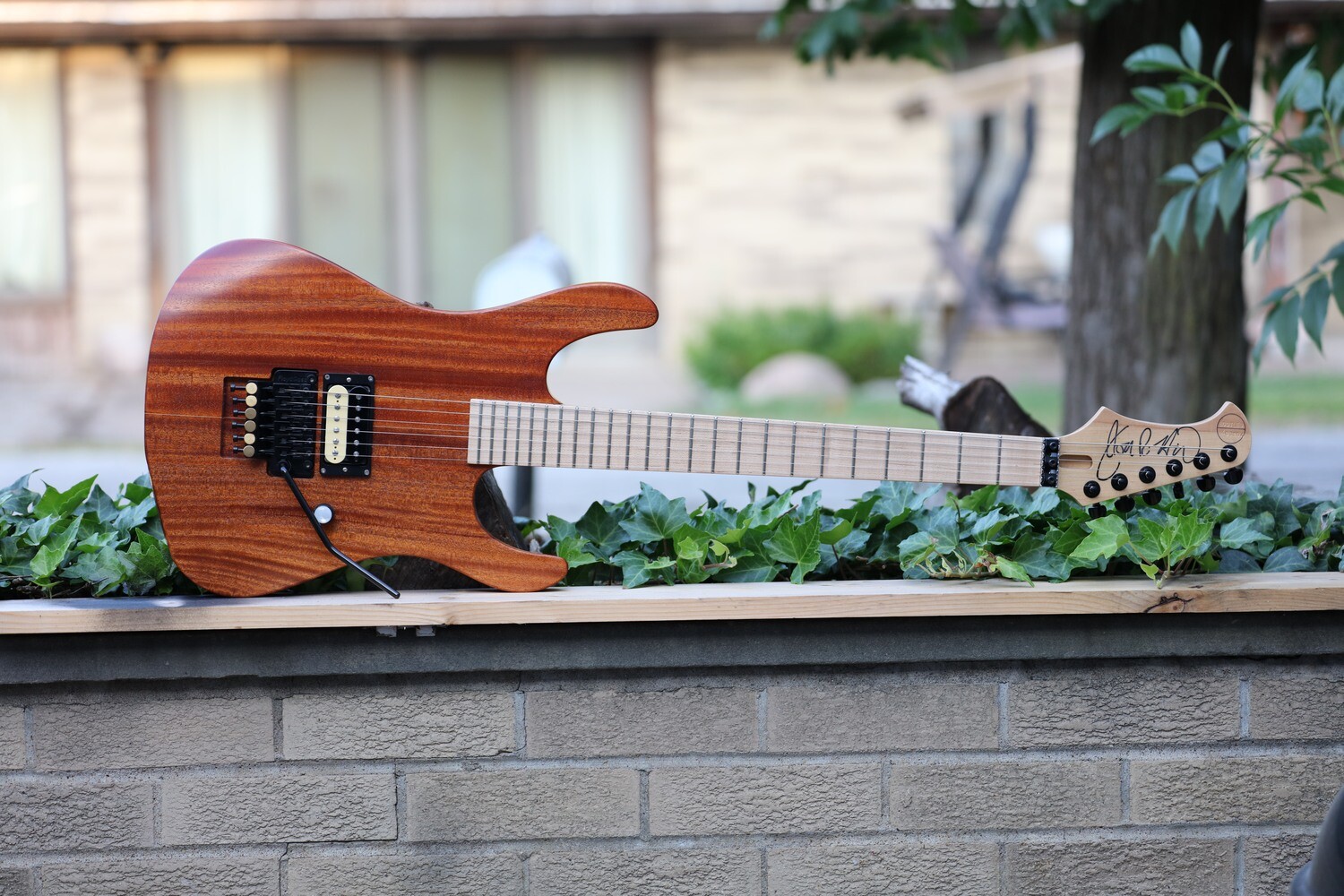 STEAMER 24 Fret Floyd Rose 2022 Natural Mahogany