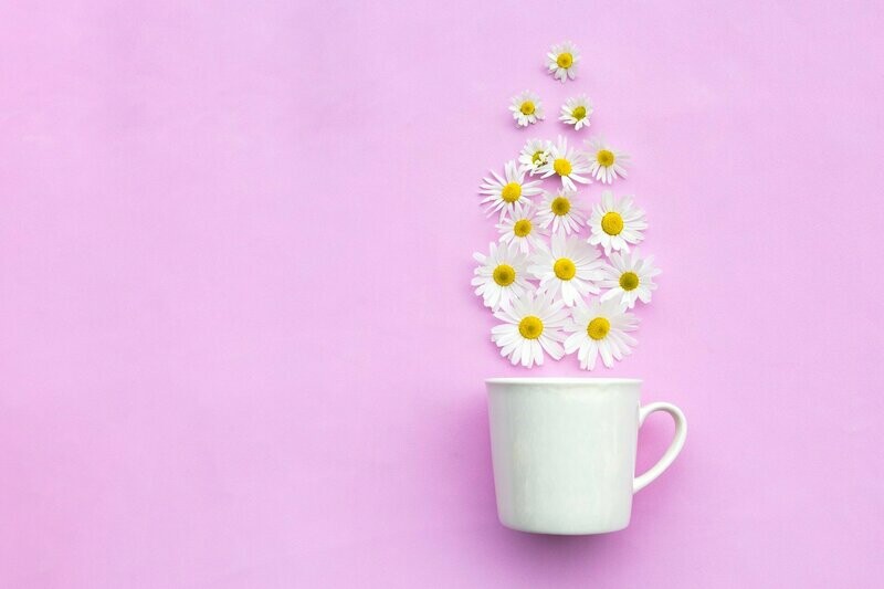 Calma - Wellness Box