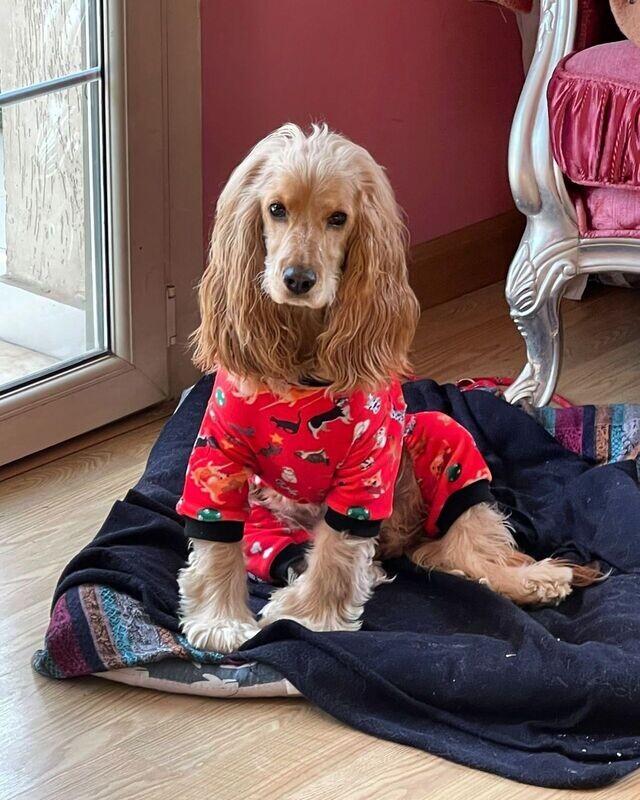 Red - Pyjama