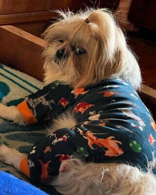 Navy - Pyjama